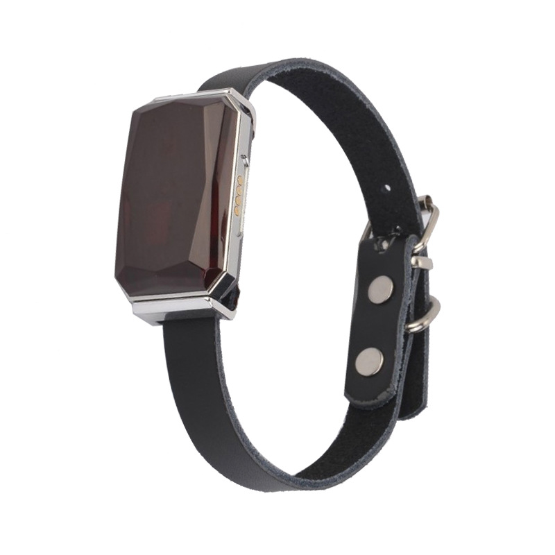 New Cool Gem IP67 Waterproof Pets' GPS Locator Dog Cat Cattle Sheep Hunting Dog Tracking Anti-Lost New Cool Gem IP67 Waterproof Pets' GPS Locator Dog Cat Cattle Sheep Hunting Dog Tracking Anti-Lost