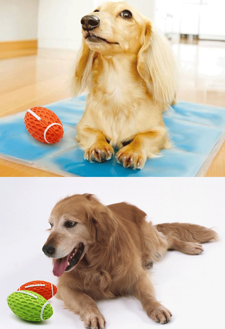 Pet Toys Bite-Resistant Vocalization Rugby Dog Relieving Stuffy Rubber Molar Interactive Pet Supplies Wholesale