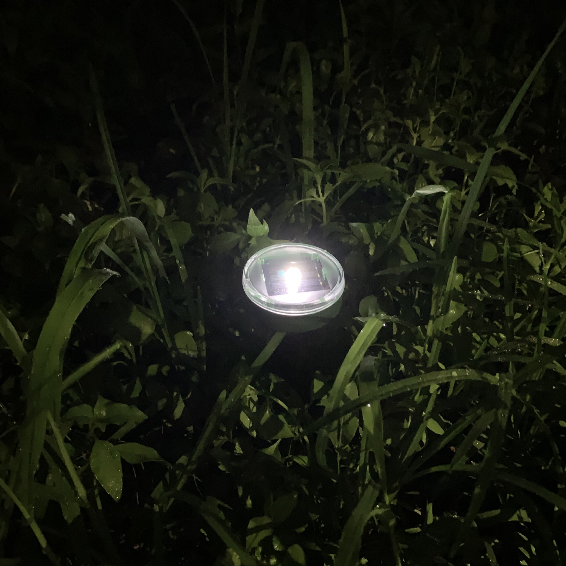 Solar Pest Repeller Ultrasonic Vibration Electronic Snake Repellent Multifunctional Lawn Waterproof Insect Killer
