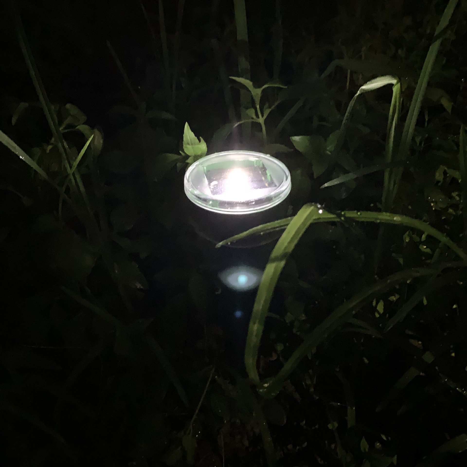 Solar Pest Repeller Ultrasonic Vibration Electronic Snake Repellent Multifunctional Lawn Waterproof Insect Killer