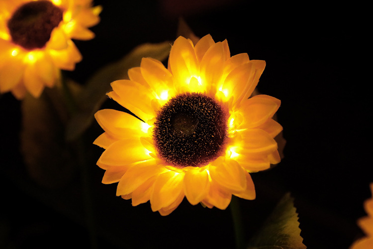 Lotus Lantern Solar Sunflower Simulation Lily Festive Lantern Common Calla Garden Lamp Chrysanthemum Rose Lawn Lamp