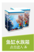 Jianrong Dophin Turtle Ladder Climbing Platform Aquarium Fish Tank Turtle Simulation Lawn Platform Climbing Landscaping Jianrong Dophin Turtle Ladder Climbing Platform Aquarium Fish Tank Turtle Simulation Lawn Platform Climbing Landscaping