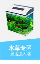 Jianrong Dophin Turtle Ladder Climbing Platform Aquarium Fish Tank Turtle Simulation Lawn Platform Climbing Landscaping Jianrong Dophin Turtle Ladder Climbing Platform Aquarium Fish Tank Turtle Simulation Lawn Platform Climbing Landscaping
