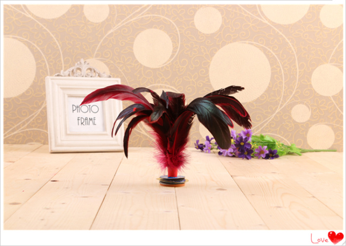 Photographic feather chicken kicking shuttlecock for students' children competition Photographic feather chicken kicking shuttlecock for students' children competition