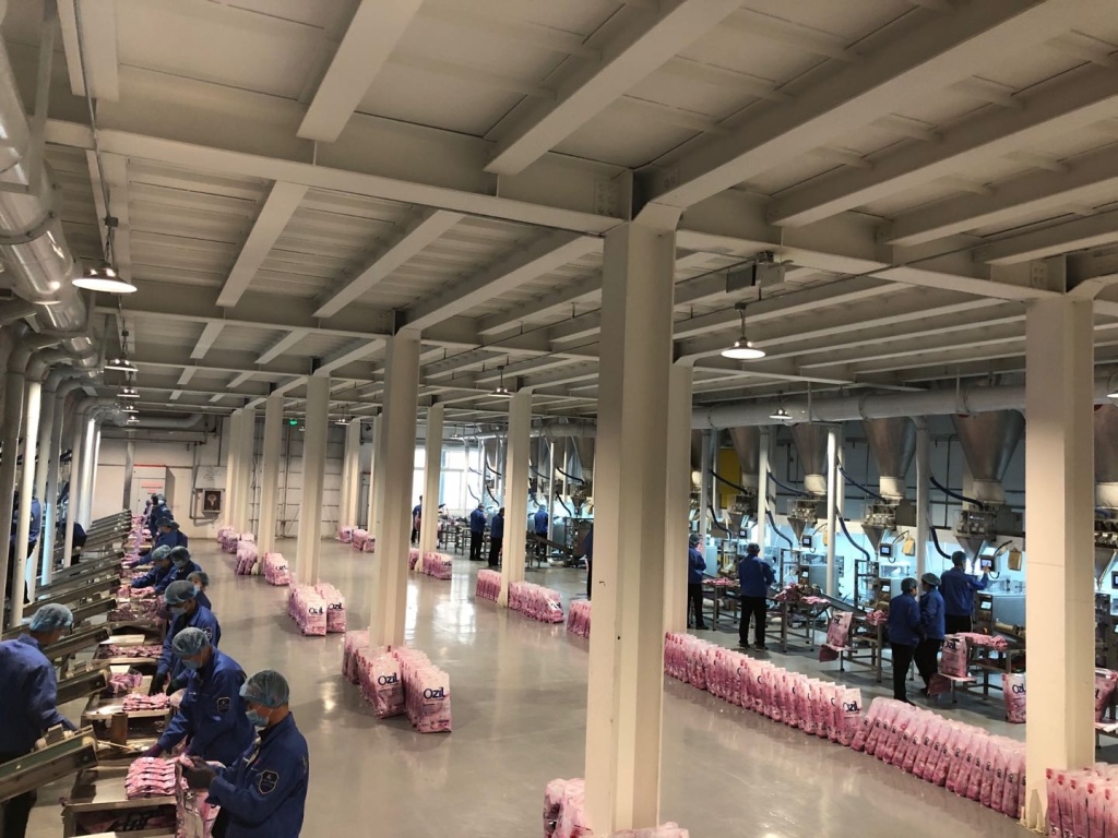 detergent powder OEM factory