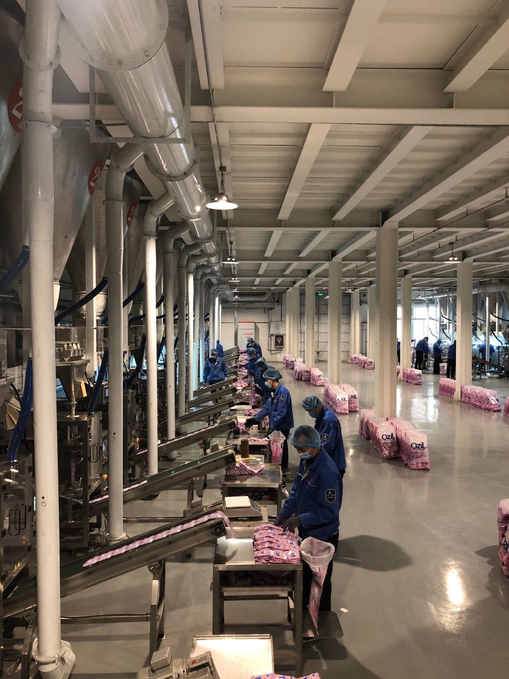 detergent powder OEM factory