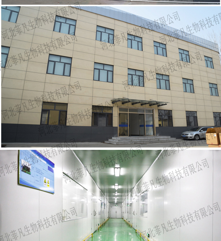 SOURCE Factory Steam Eyeshade Custom Self-Heating Sleep Hot Compress Eye Mask Processing Wormwood Eye Mask Wholesale SOURCE Factory Steam Eyeshade Custom Self-Heating Sleep Hot Compress Eye Mask Processing Wormwood Eye Mask Wholesale