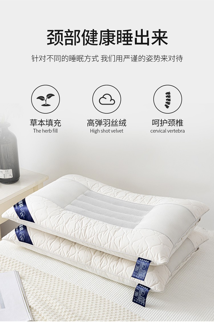 Foreign Trade Pillow Ketsumeishi Latex Pillow Core Hotel Pillow Inner Health Care Pillow Core
