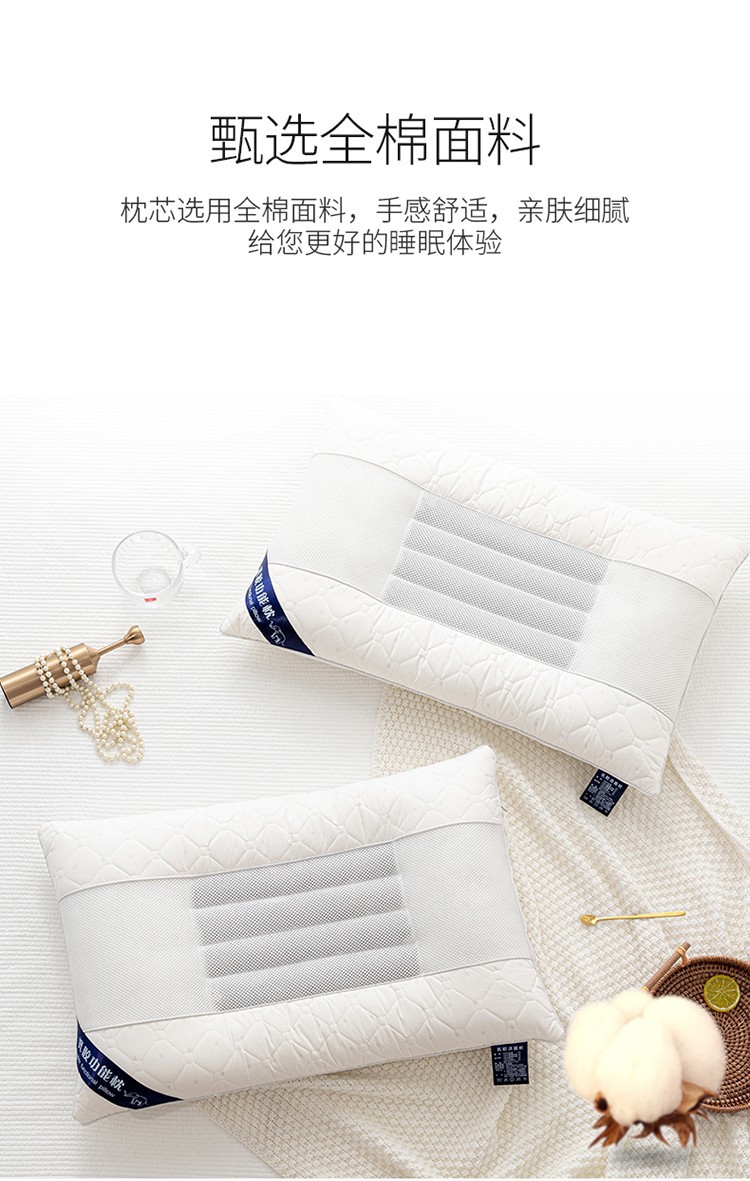 Foreign Trade Pillow Ketsumeishi Latex Pillow Core Hotel Pillow Inner Health Care Pillow Core
