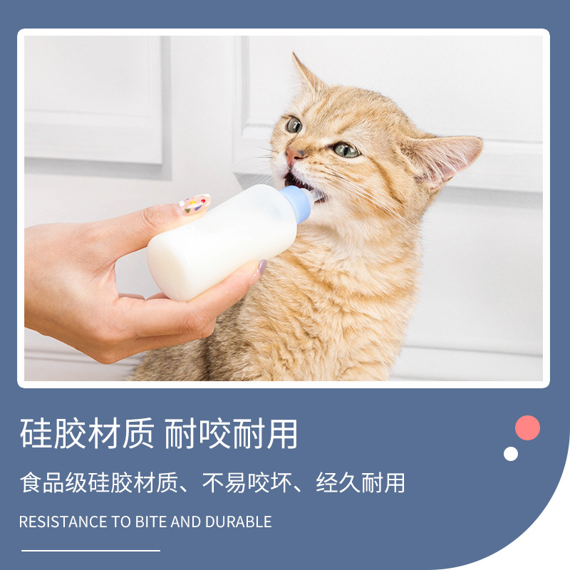 Pet Companion Pet Mini Small Feeding Bottle with Four Pacifiers Free Cleaning Set Pet Cat Supplies Factory Direct Sales