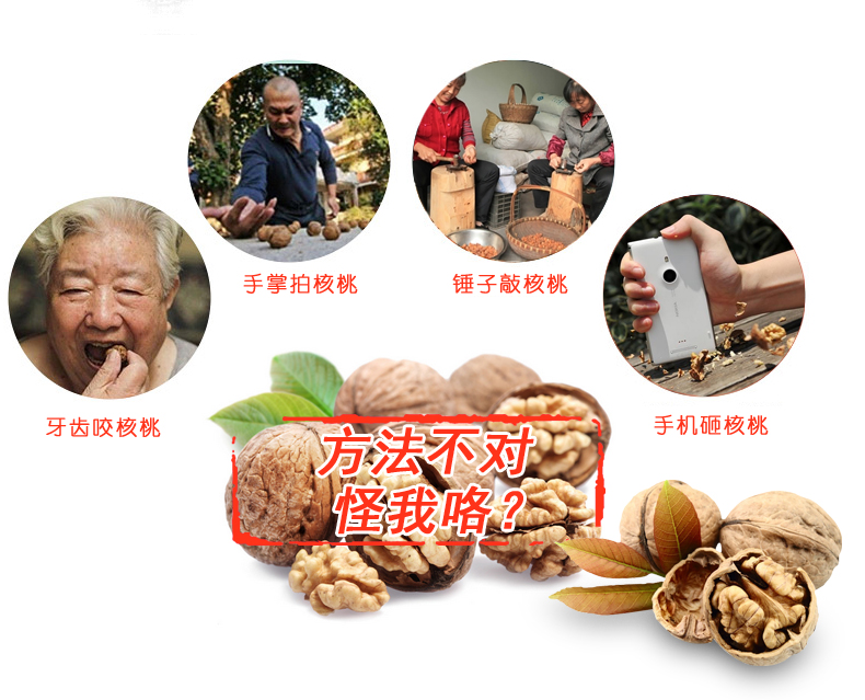 Factory Direct Sales New Walnut Clip Frosted Universal Fruit Opener Pliers Funnel Pine Nuts Clip Nut Clip Wholesale Factory Direct Sales New Walnut Clip Frosted Universal Fruit Opener Pliers Funnel Pine Nuts Clip Nut Clip Wholesale