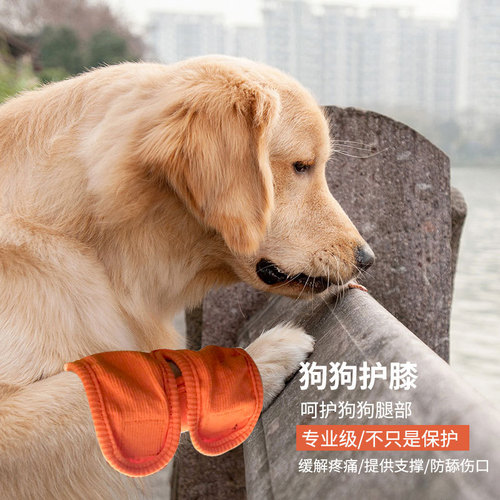 Feed Medication Utensil New Double Water Medicine Calcium Tablets MedicineFeeding Rod Dog Feeder in Stock Custom Logo Feed Medication Utensil New Double Water Medicine Calcium Tablets MedicineFeeding Rod Dog Feeder in Stock Custom Logo