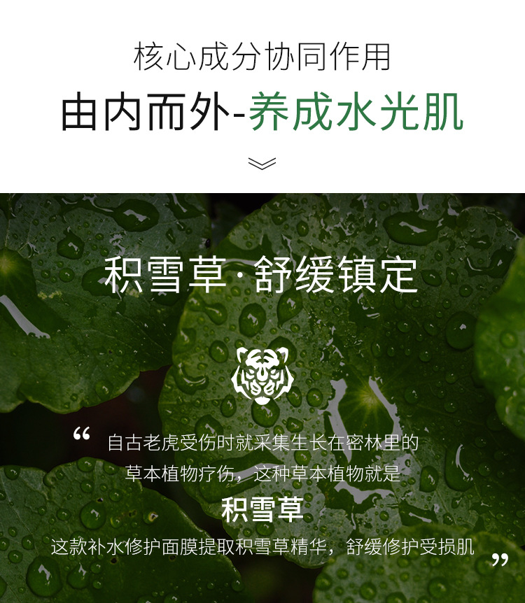 Tiger Silk Mask Female Moisturizing Centella Asiatica Smallpox Diluting Brightening Skin Color Shrink Pores Tiger Silk Mask Female Moisturizing Centella Asiatica Smallpox Diluting Brightening Skin Color Shrink Pores