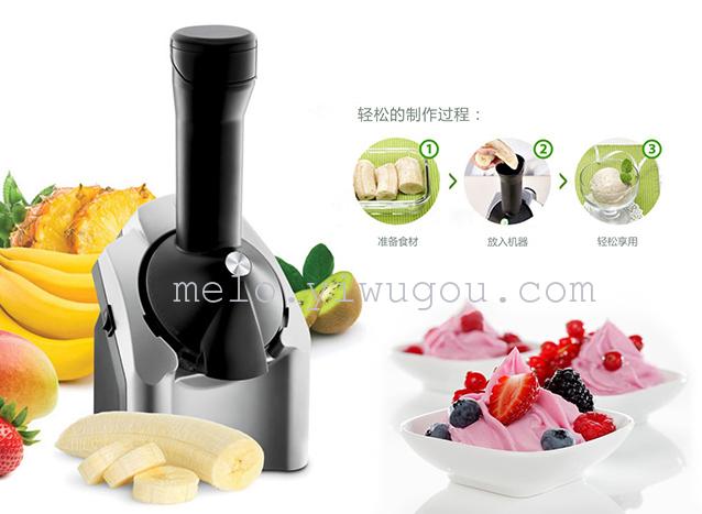 Fruit yogurt fruit ice cream ice cream machine for ice-cream machine DIY