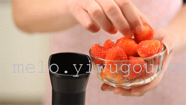 Fruit yogurt fruit ice cream ice cream machine for ice-cream machine DIY