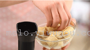 Fruit yogurt fruit ice cream ice cream machine for ice-cream machine DIY