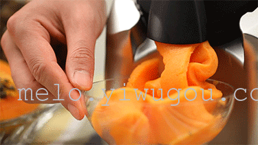 Fruit yogurt fruit ice cream ice cream machine for ice-cream machine DIY