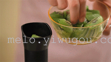 Fruit yogurt fruit ice cream ice cream machine for ice-cream machine DIY