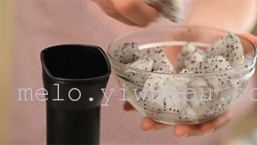 Fruit yogurt fruit ice cream ice cream machine for ice-cream machine DIY
