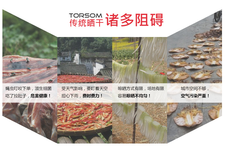 Torsomd2 Dried Fruit Machine Food Dehydration Dryer Household Fruit Vegetable Meat Medicine Yogurt Foodstuff Dryer