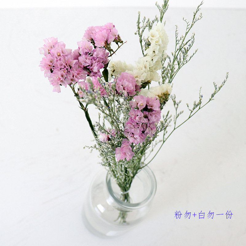 Inserting Flower Hand Fireworks Display Photo Props DIY Limonium Statice Crystal Grass Handmade Real Small Dried Flower