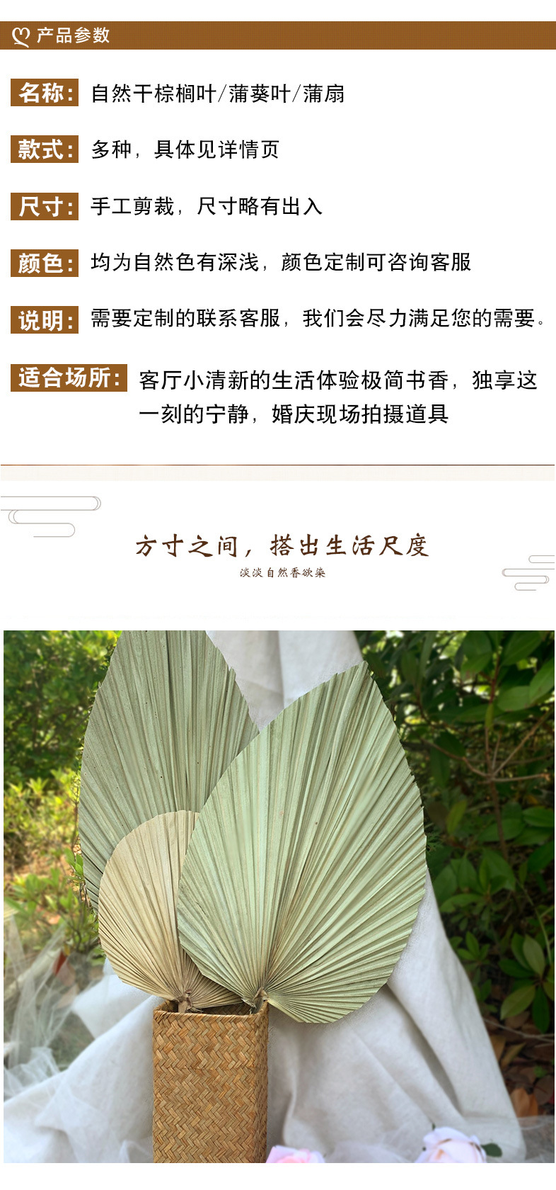 Leaf Chinese Fan Palm Leaf Dried Palm Leaf Mori Style Wedding Layout Props Shop Display Soft Decoration Floor Decoration
