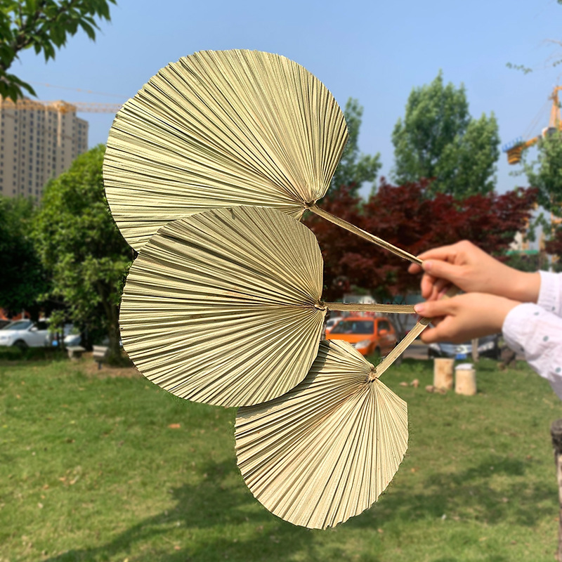 Leaf Chinese Fan Palm Leaf Dried Palm Leaf Mori Style Wedding Layout Props Shop Display Soft Decoration Floor Decoration