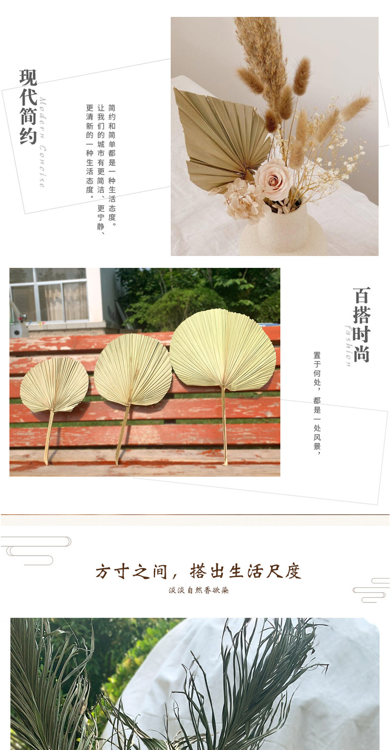 Leaf Chinese Fan Palm Leaf Dried Palm Leaf Mori Style Wedding Layout Props Shop Display Soft Decoration Floor Decoration