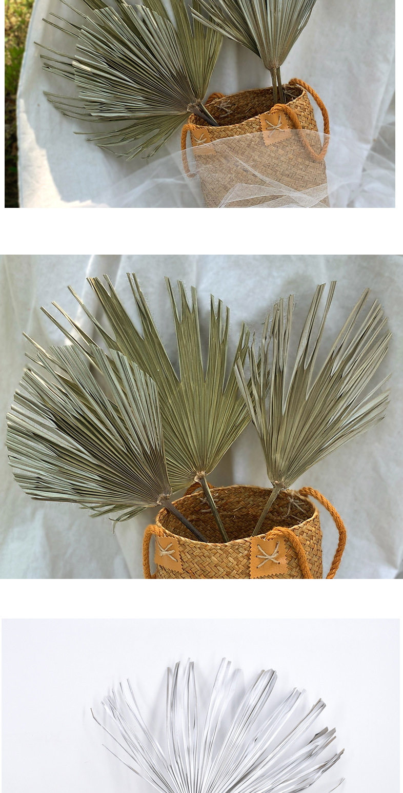 Leaf Chinese Fan Palm Leaf Dried Palm Leaf Mori Style Wedding Layout Props Shop Display Soft Decoration Floor Decoration