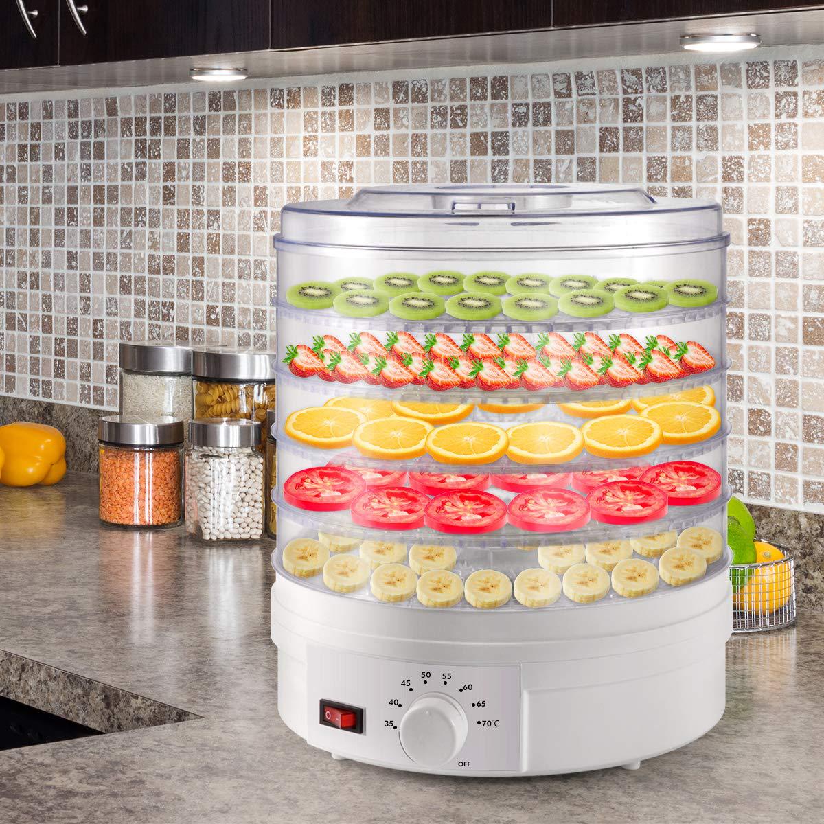 Dryer Fruit HealthEnhancing Herbal Tea Dried Fruit Machine Vegetable Dehydrator Dog Food Dryer Seafood Dried Meat Dryer