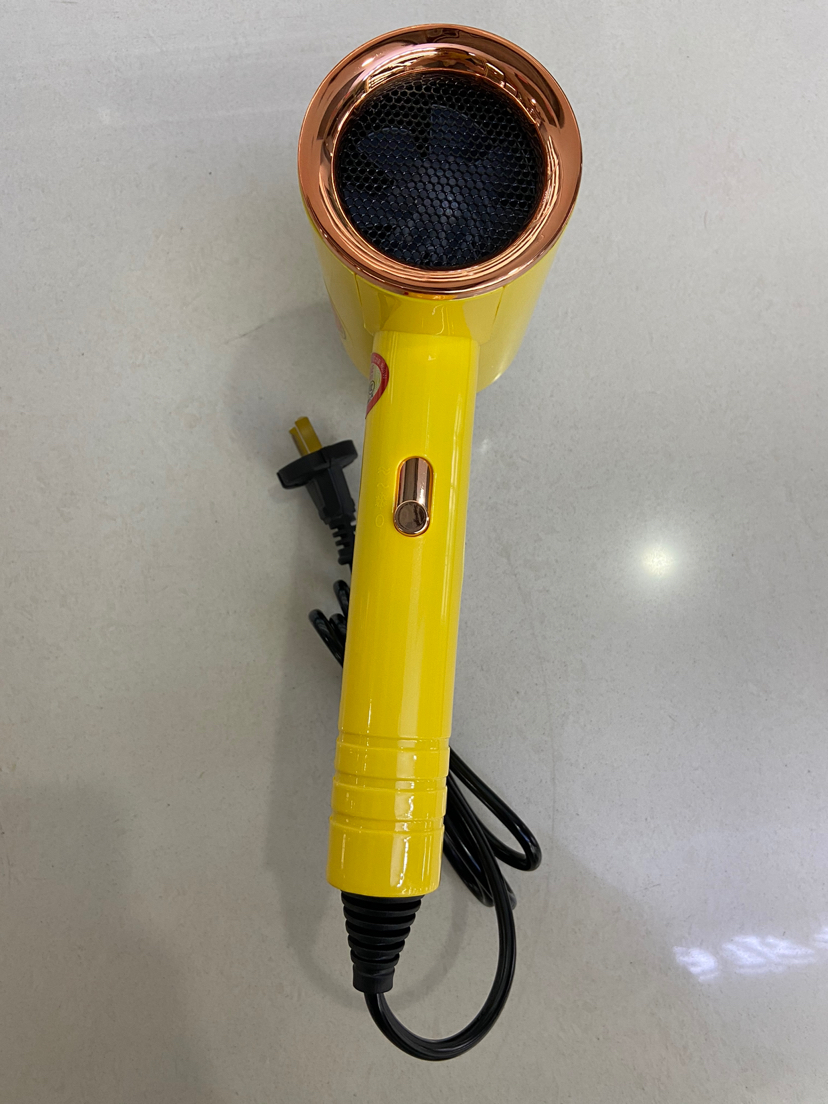 New Sunshine Duck Hair Dryer Household Electric Blower Student Dormitory Heating and Cooling Air Best-Seller on Douyin
