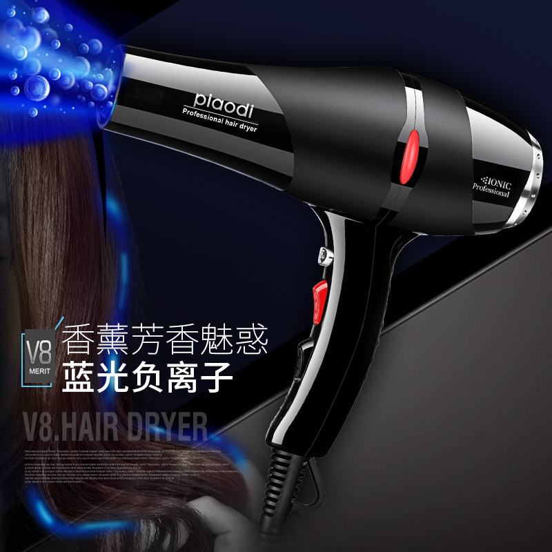 Household Hair Dryer Constant Temperature Heating and Cooling Air Anion Electric Blower MultiGear Adjustable Hair Dryer