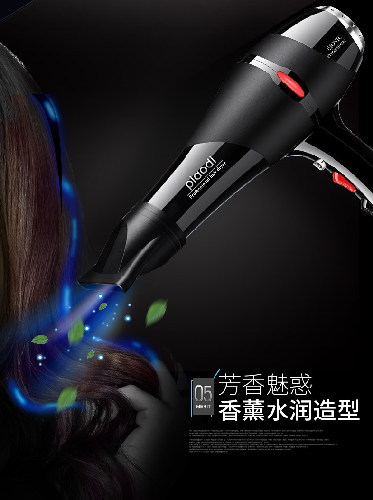 Household Hair Dryer Constant Temperature Heating and Cooling Air Anion Electric Blower MultiGear Adjustable Hair Dryer