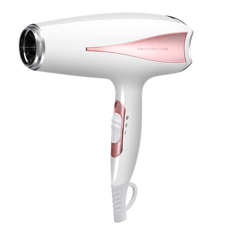 High Power Household Electric Blower Heating and Cooling Air Hair Dryer Hair Salon Hair Dryer CrossBorder Hot Selling