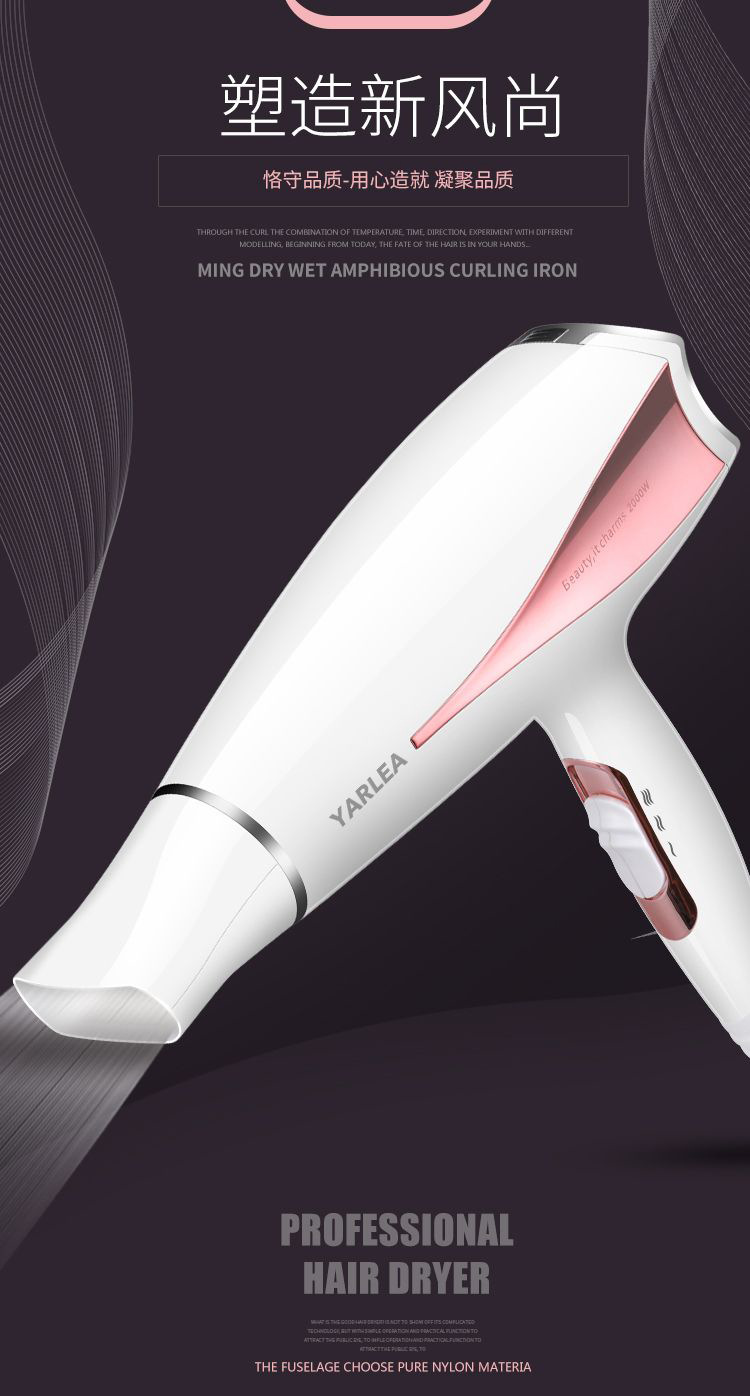 High Power Household Electric Blower Heating and Cooling Air Hair Dryer Hair Salon Hair Dryer CrossBorder Hot Selling
