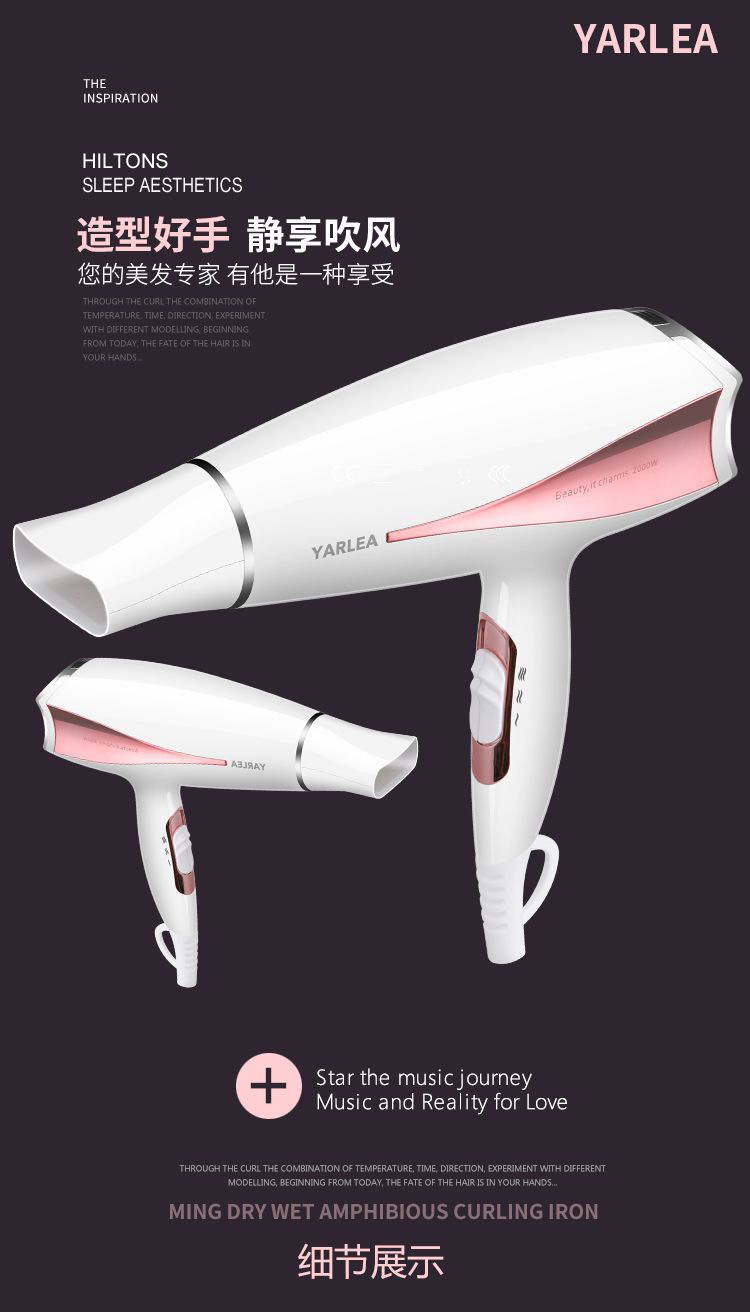 High Power Household Electric Blower Heating and Cooling Air Hair Dryer Hair Salon Hair Dryer CrossBorder Hot Selling
