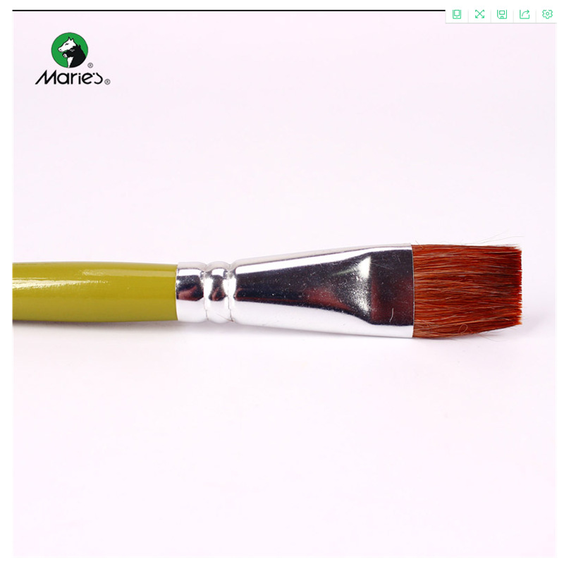 Marley G1865 Flat Horse Hair 5 PCs Water Chalk Set for Beginners Students Acrylic Painting Watercolor Brush