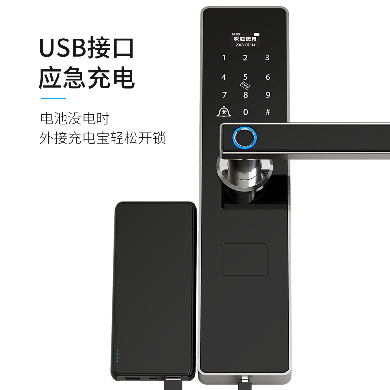 Cardolia Graffiti Pass Lock Anti-Theft Smart Door Lock Automatic Password Electronic Home Smart Fingerprint Lock