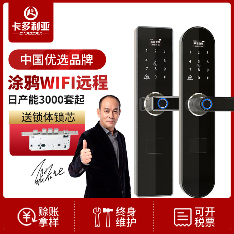 Cardolia Graffiti Pass Lock Anti-Theft Smart Door Lock Automatic Password Electronic Home Smart Fingerprint Lock