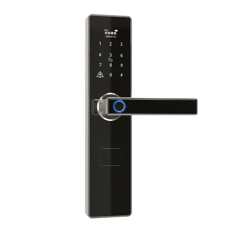 Cardolia Graffiti Pass Lock Anti-Theft Smart Door Lock Automatic Password Electronic Home Smart Fingerprint Lock