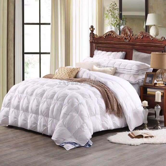 Five-Star Hotel Duvet 95 White Goose down Winter Quilt Duck down Quilt Inner Single Person Double Thick Warm Winter