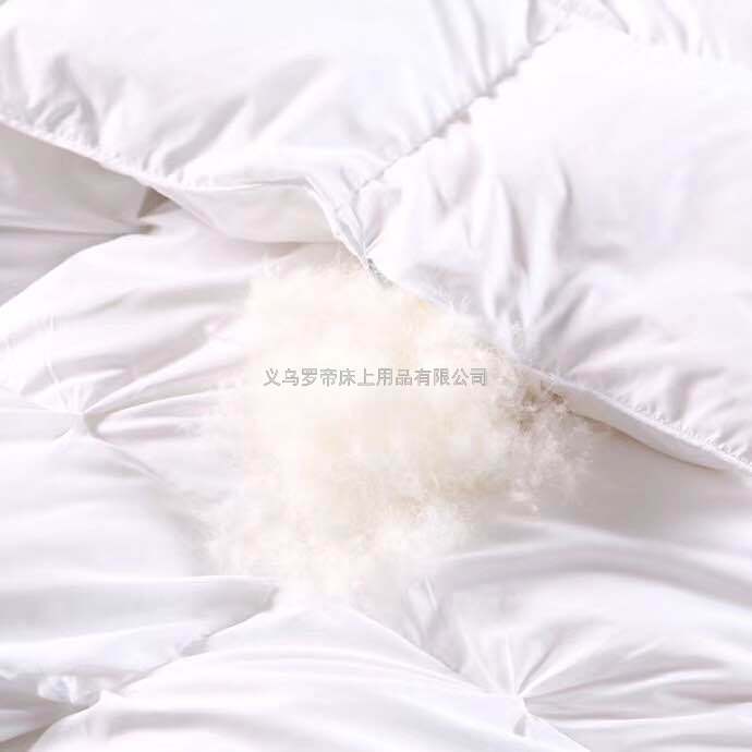 Five-Star Hotel Duvet 95 White Goose down Winter Quilt Duck down Quilt Inner Single Person Double Thick Warm Winter