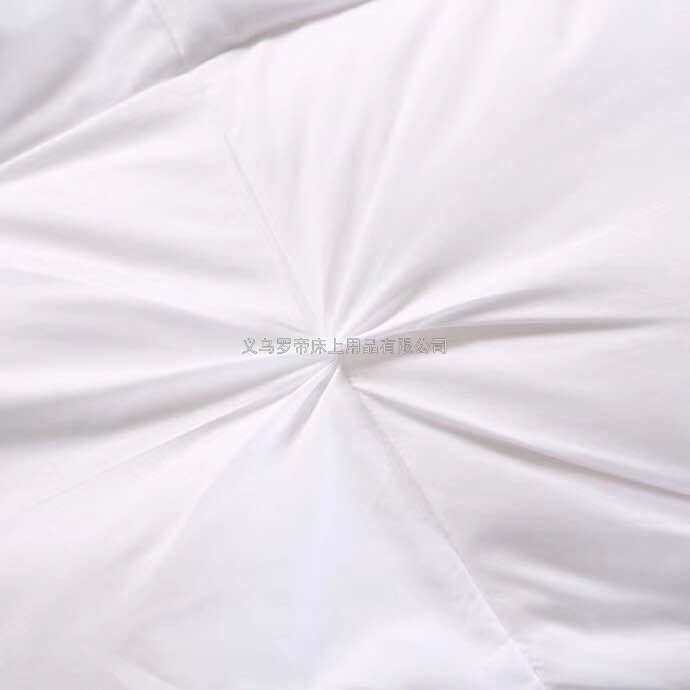Five-Star Hotel Duvet 95 White Goose down Winter Quilt Duck down Quilt Inner Single Person Double Thick Warm Winter