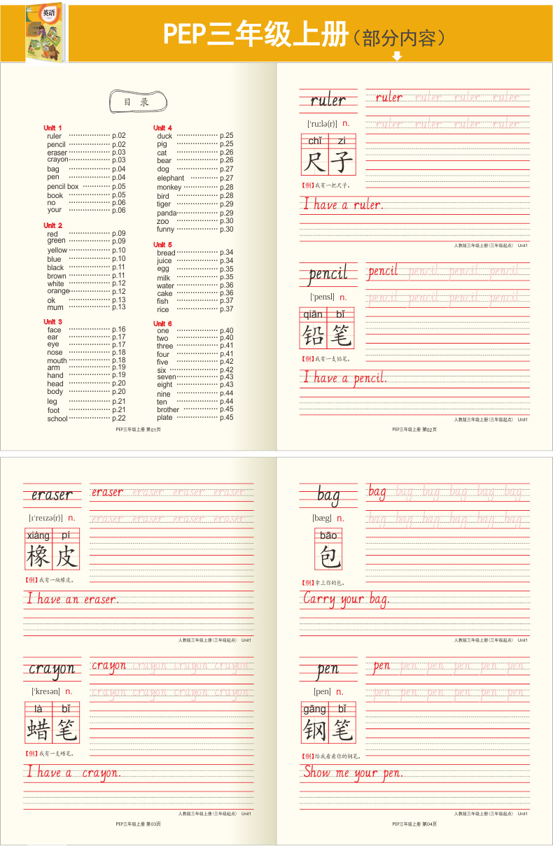 Point English Handwriting Calligraphy Practice Board People Teach Primary School Students 36 Grade Synchronous Word Copy