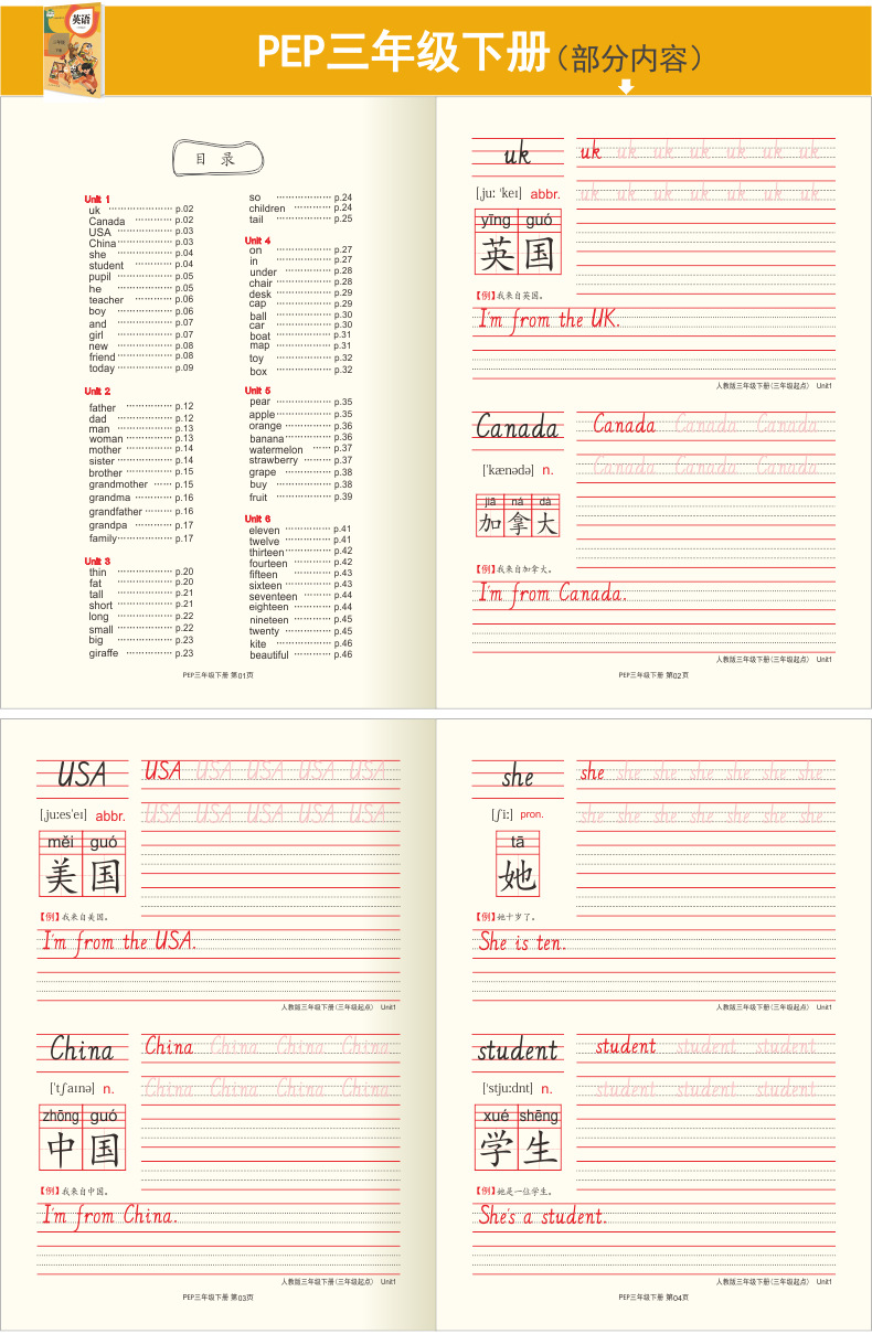 Point English Handwriting Calligraphy Practice Board People Teach Primary School Students 36 Grade Synchronous Word Copy