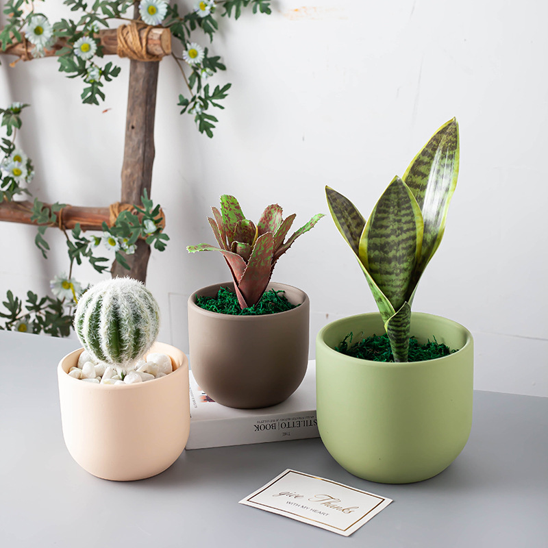 Porcelain craft Nordic Morandi Style Simple Succulents Flower Pot Phalaenopsis Pot Flowers Cactus Large