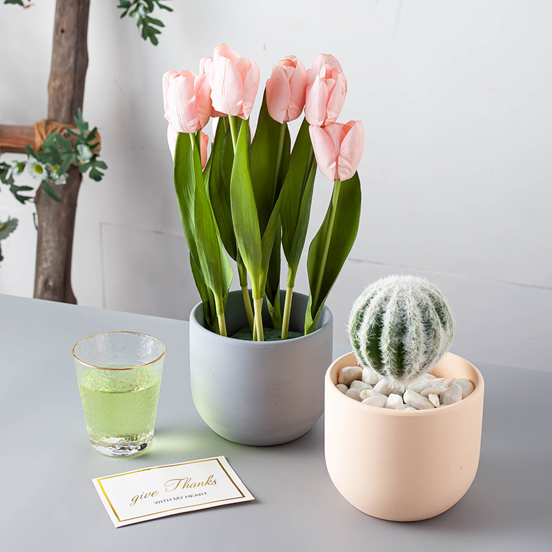 Porcelain craft Nordic Morandi Style Simple Succulents Flower Pot Phalaenopsis Pot Flowers Cactus Large