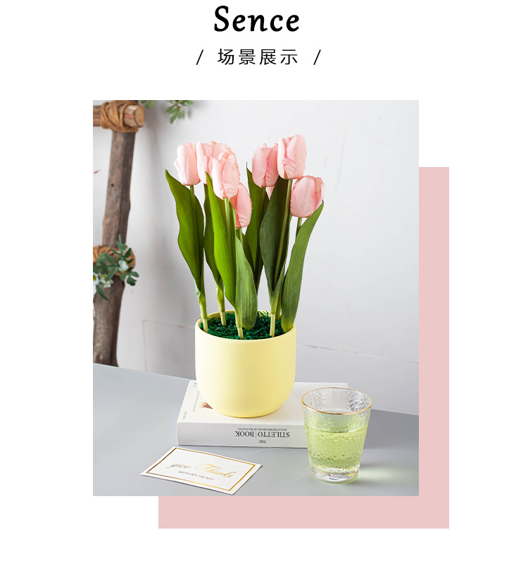 Porcelain craft Nordic Morandi Style Simple Succulents Flower Pot Phalaenopsis Pot Flowers Cactus Large