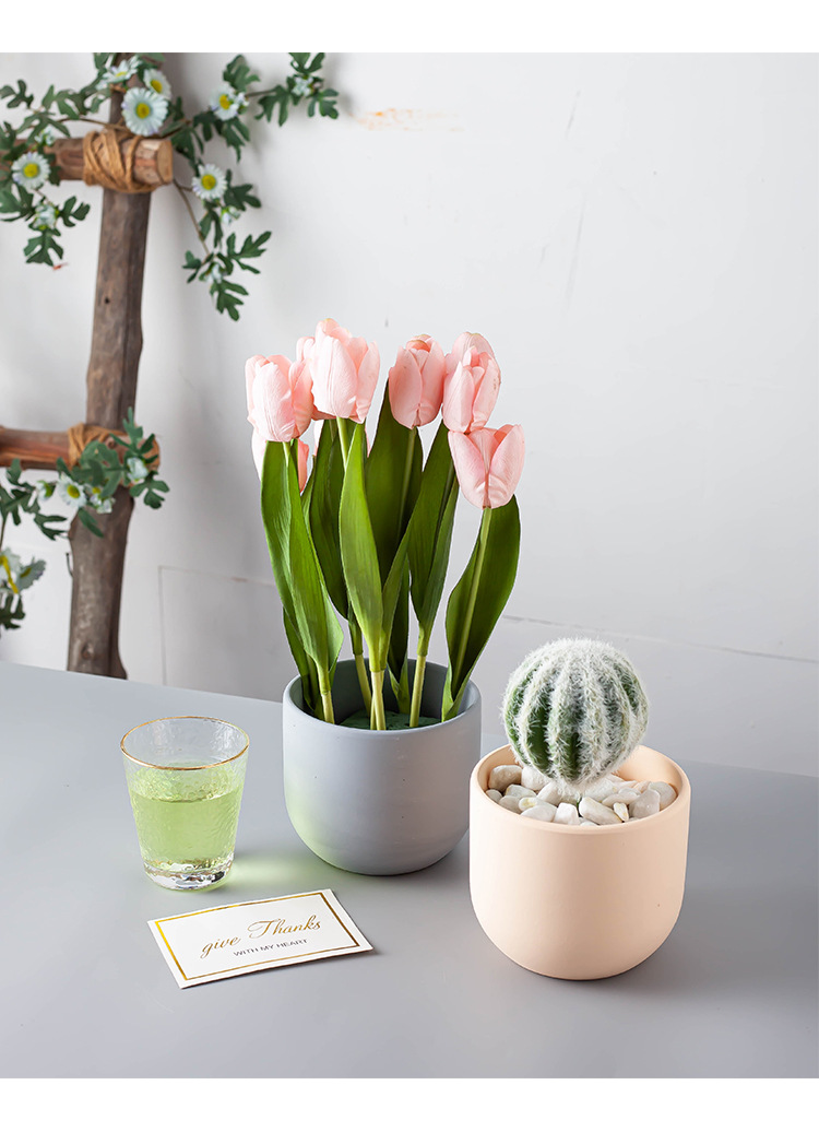 Porcelain craft Nordic Morandi Style Simple Succulents Flower Pot Phalaenopsis Pot Flowers Cactus Large