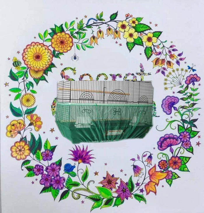 Mesh Bird Cover Dust-Proof Bird Cage Accessories Thrush Starling Yarn Cover Large, Medium and Small Mesh Bird Cover Dust-Proof Bird Cage Accessories Thrush Starling Yarn Cover Large, Medium and Small